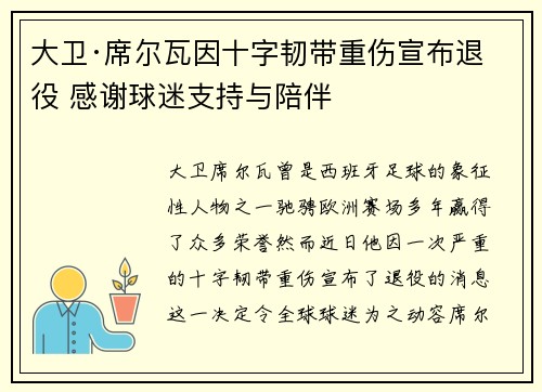大卫·席尔瓦因十字韧带重伤宣布退役 感谢球迷支持与陪伴