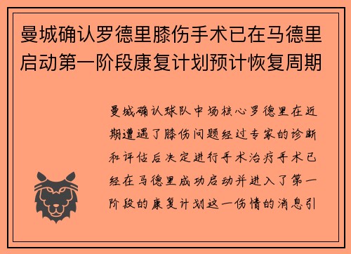 曼城确认罗德里膝伤手术已在马德里启动第一阶段康复计划预计恢复周期受关注 曼城确认罗德里膝伤手术已在马德里启动第一阶段康复计划预计恢复周期受关注